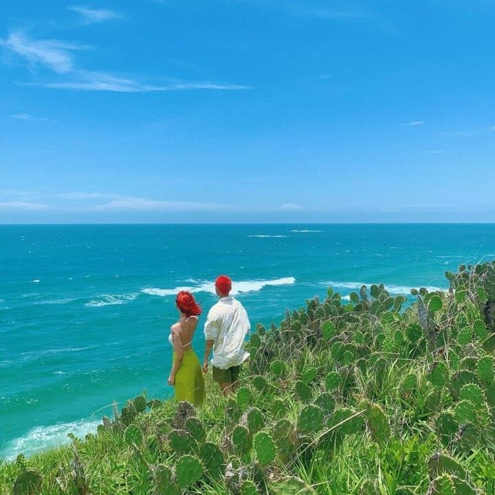 Cactus garden facing the sea - check-in point for this summer-7