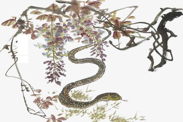 Đúng 0h Tết Đoan Ngọ, 3 con giáp đạp trúng hố vàng, tài lộc đạt đỉnh-4