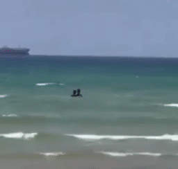 Giữa thanh thiên bạch nhật, cặp nam nữ rủ nhau nhún nhảy giữa biển-1