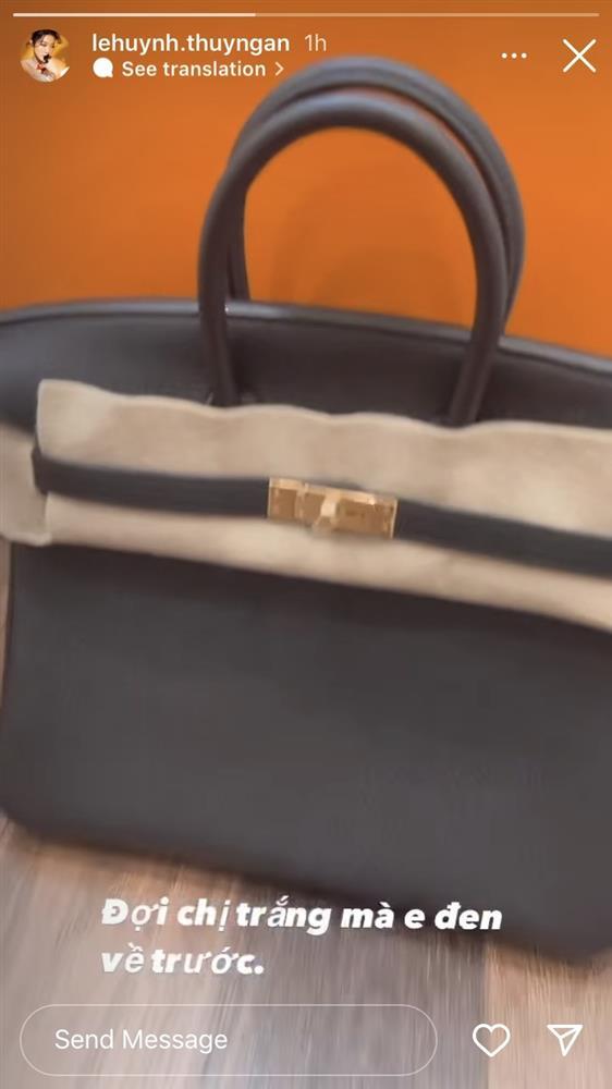 Thúy Ngân đại gia ngầm Vbiz, sắm 1 lèo 2 túi hiệu, 1 cái nửa tỷ-1