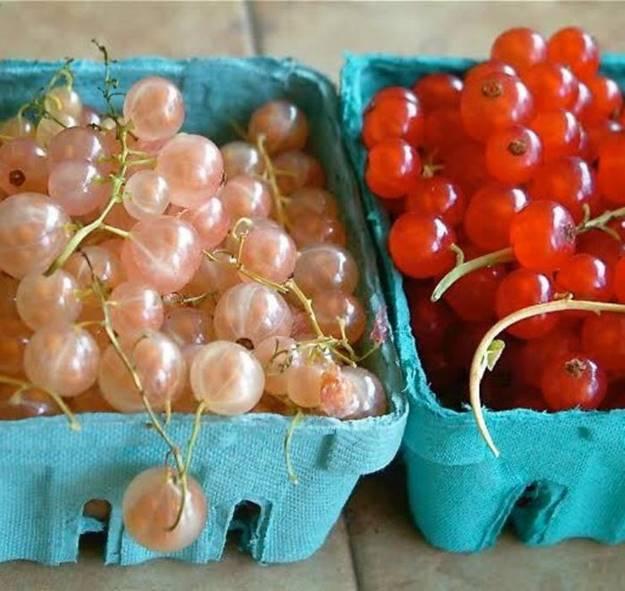 Loại quả rẻ như rau ở nước ngoài về Việt Nam thành thứ đốt tiền-9