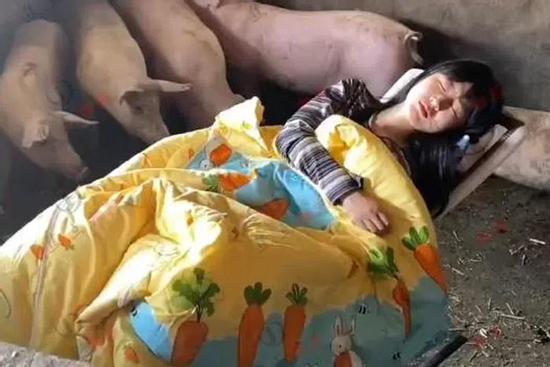 Cô gái thích ngủ trong chuồng lợn, múa hát cho 'đàn con' nghe