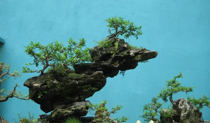 4 vật trước cửa gây ảnh hưởng phong thủy nhà ở, tài vận bị tổn hại-3