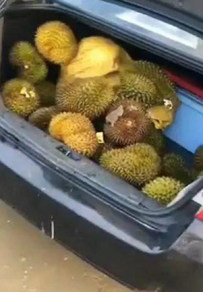 Hôi sầu riêng từ thuyền hàng bị lật, hơn 500 người xanh mặt nhập viện-3