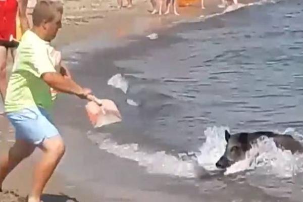 Bãi biển đắm tàu đẹp nhất Hy Lạp, khung cảnh hoang sơ đẹp lịm tim-5