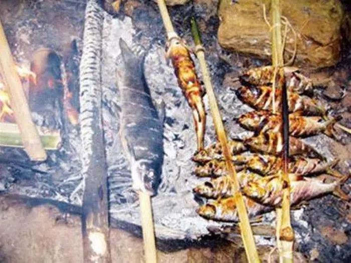 Loài cá được ví như lộc trời ban, là đặc sản được săn lùng-9