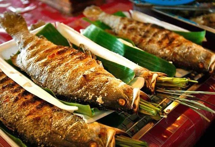 Loài cá được ví như lộc trời ban, là đặc sản được săn lùng-10