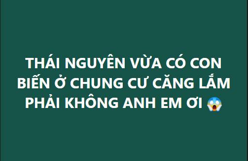 Nghi trốn ngoại tình, người đàn ông rơi từ tầng 10 xuống tử vong-1