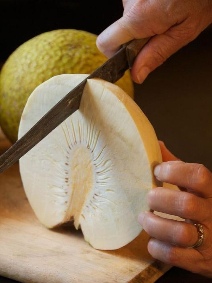 Loại quả bên ngoài giống mít non, chiên giòn lại bùi ngọt như khoai-3