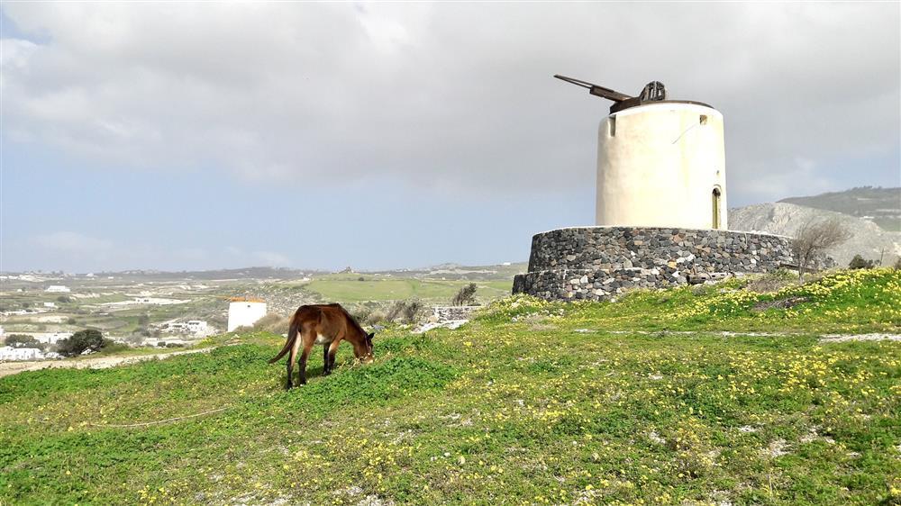 Ngủ nhà người lạ ở Hy Lạp, cô gái Việt thoát nạn phút chót nhờ 1 câu-3