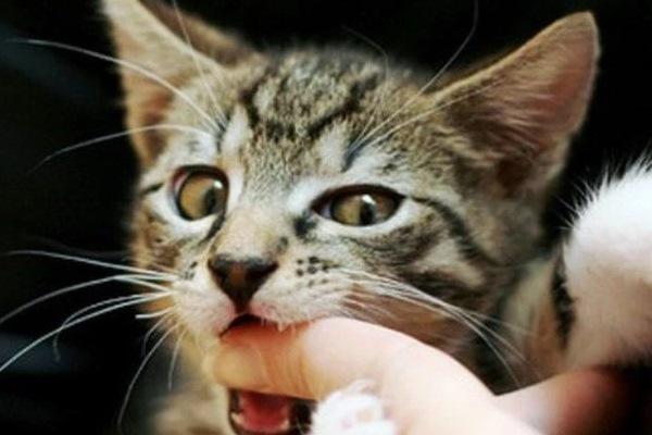 TP.HCM: Người dân quyên góp giúp đỡ bảo vệ tử vong trên ghế-3