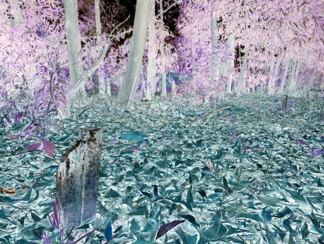 Kỳ án khu vườn chôn xác: Những người đàn ông mất tích kỳ lạ-2