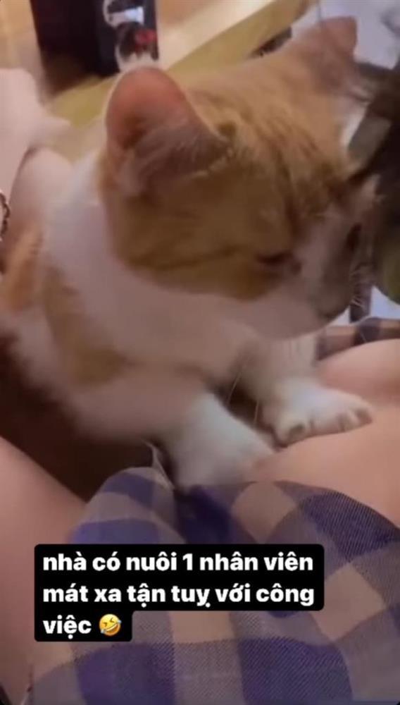 Elly Trần khoe cảnh cho mèo cưng massage vòng 1 ngồn ngộn-1