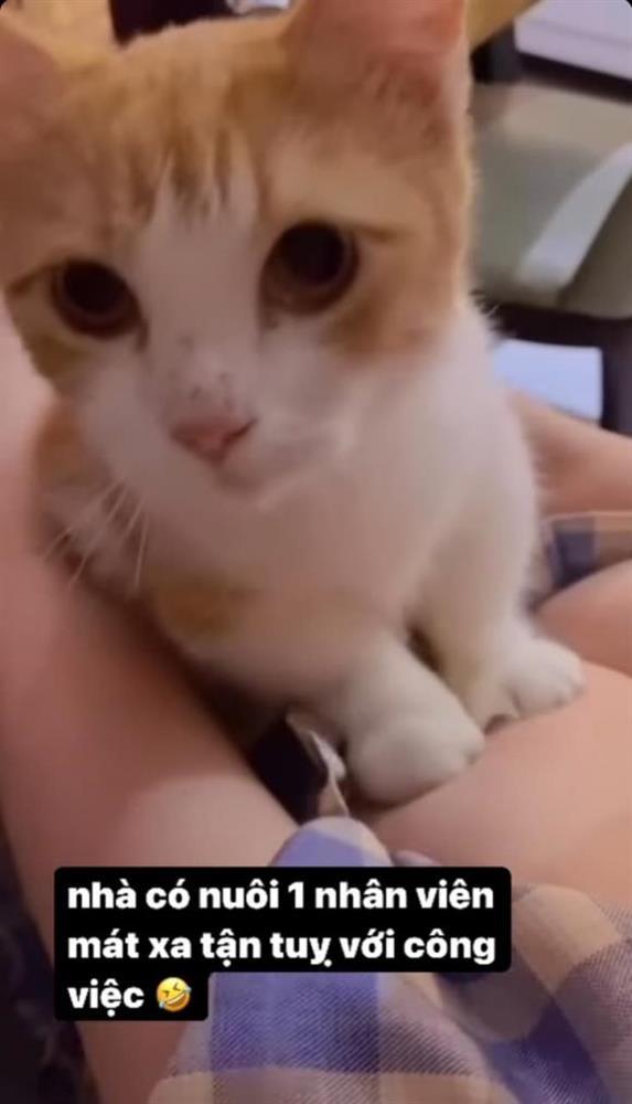 Elly Trần khoe cảnh cho mèo cưng massage vòng 1 ngồn ngộn-2