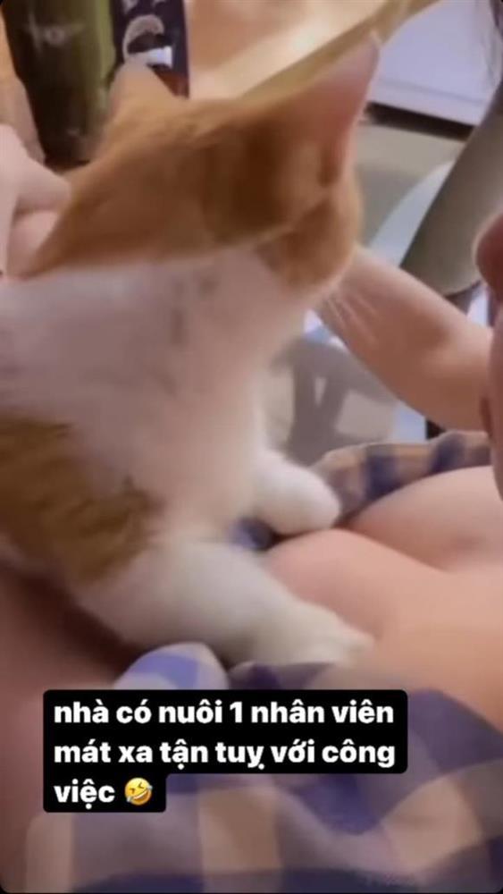 Elly Trần khoe cảnh cho mèo cưng massage vòng 1 ngồn ngộn-3