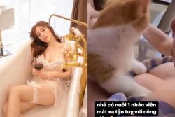 Elly Trần khoe cảnh cho mèo cưng massage vòng 1 'ngồn ngộn'