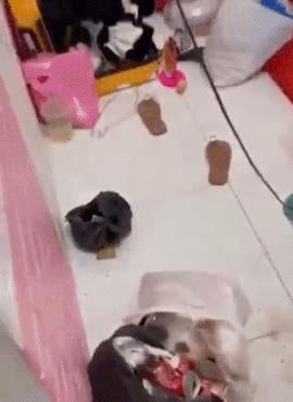 Ngán ngẩm clip 3 cô gái bị chủ trọ than phiền vì ở bẩn khó tin-1