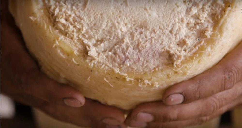 Loại phô mai ngập giòi đáng sợ nhất thế giới-5