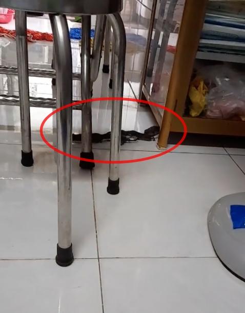 Chuột làm đám cưới trong nhà, người kêu may mắn, kẻ khuyên xả xui-1