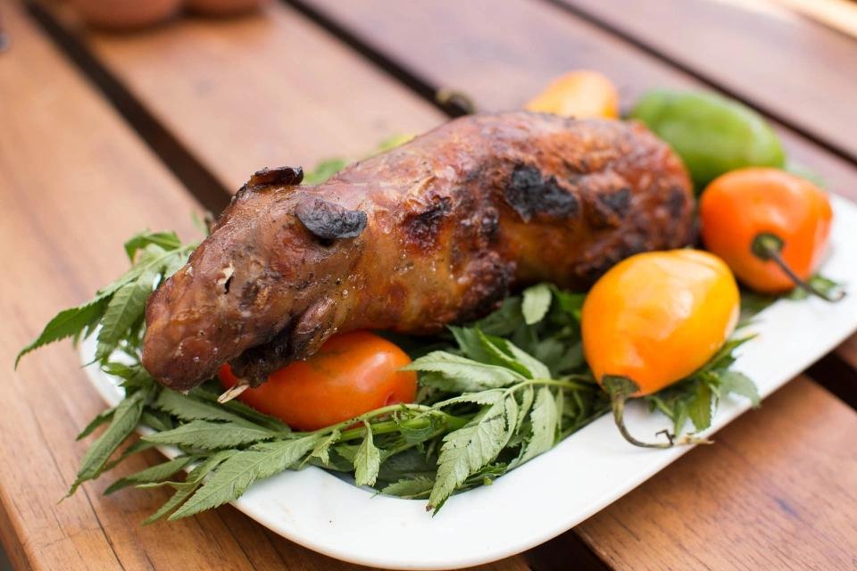 Đặc sản chuột lang gây tranh cãi của Peru-5