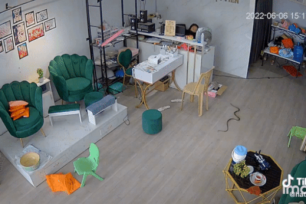 Tưởng có trộm khi nghe tiếng động lạ, ai ngờ là quái thú hung dữ-2