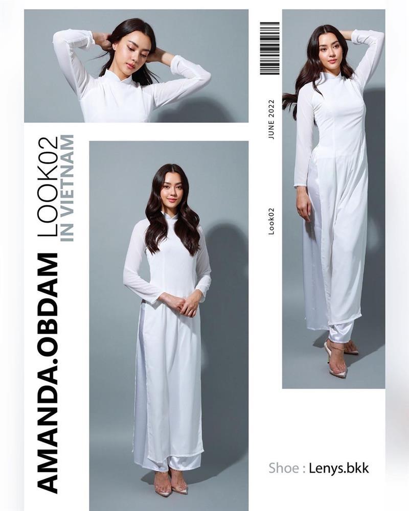 Bản sao Catriona Gray mặc áo dài đến Việt Nam-6