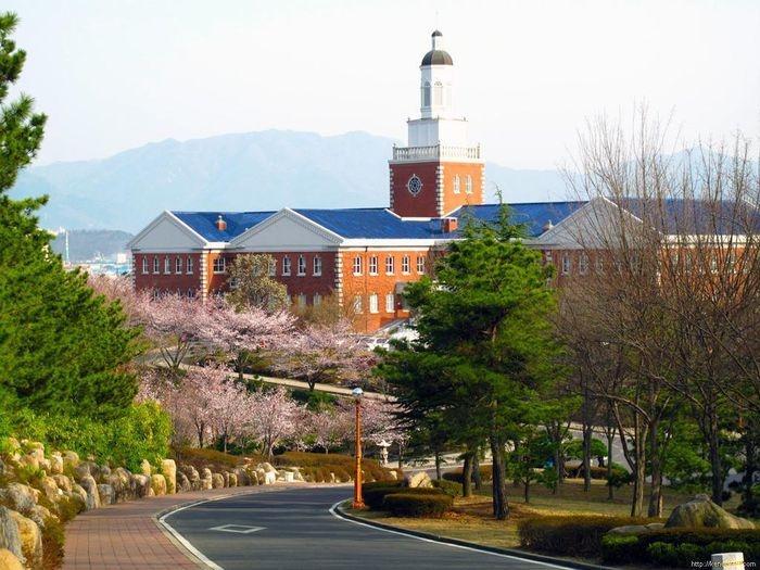 Vẻ đẹp hút hồn của 3 ngôi trường bước ra từ phim Hàn-7