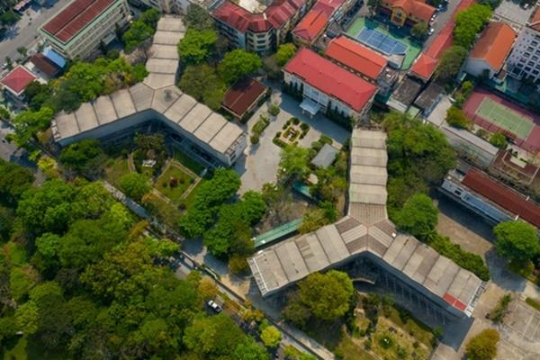 Cây cô đơn Hồ Tây bị chặt, dân mạng tiếc nuối muốn vạch mặt kẻ ác-8