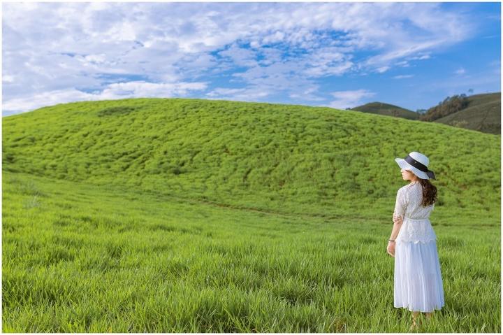 Chi tiết với hơn 79 về hình nền cây cỏ đẹp mới nhất  Du học Akina
