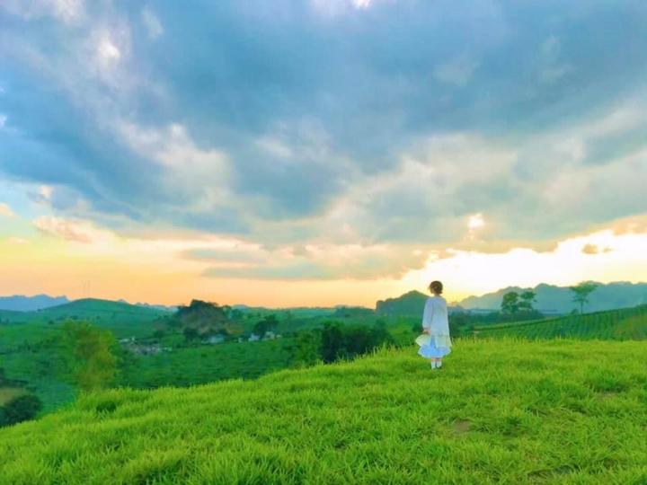 Tọa độ đẹp hệt như ảnh nền huyền thoại Windows 98 ở Mộc Châu-10