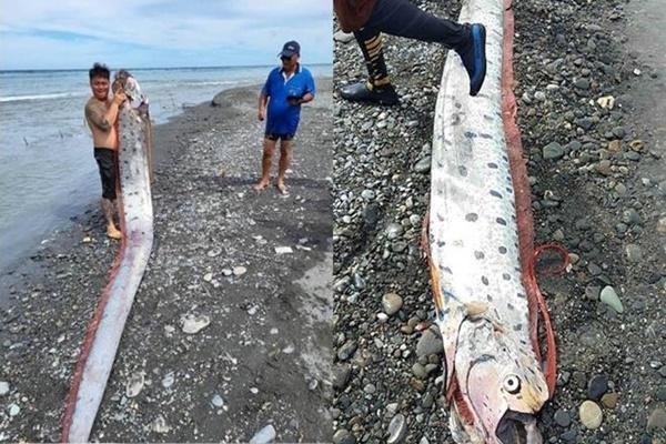 Vực thẳm khổng lồ xuất hiện ở Thổ Nhĩ Kỳ và Syria sau động đất-3