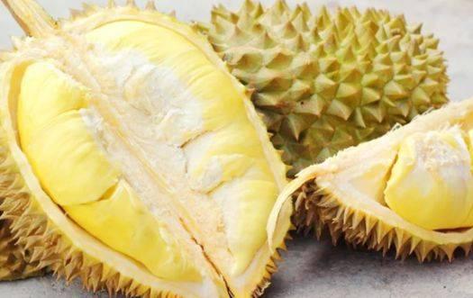 Chọn sầu riêng gai dài hay ngắn, người trồng chỉ bạn 3 cách-1