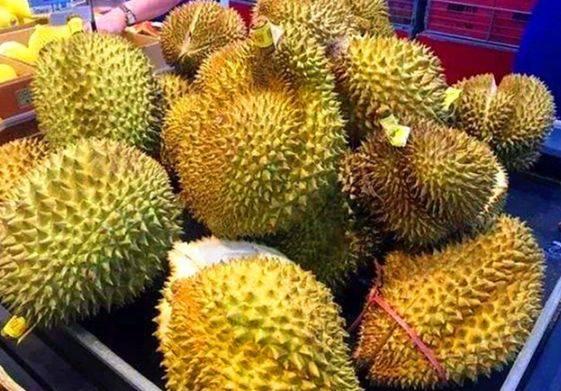 Chọn sầu riêng gai dài hay ngắn, người trồng chỉ bạn 3 cách-2