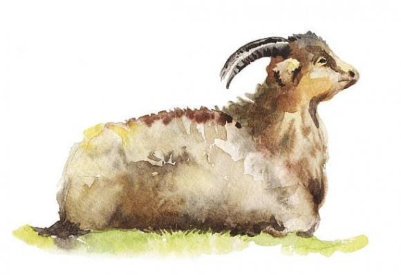 Top 3 con giáp vận mệnh đổi gió xoay chiều trong 20 ngày tới-1