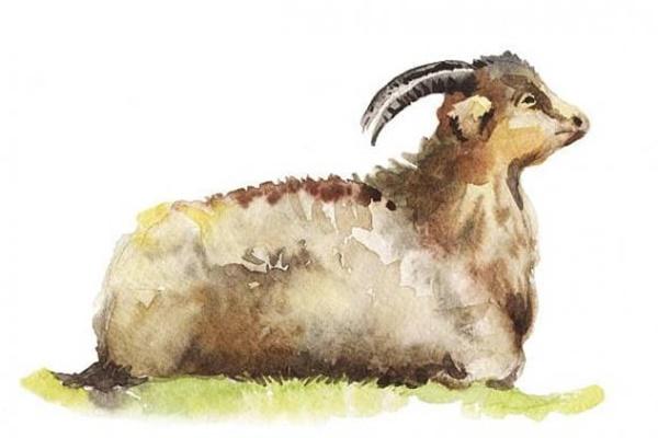 3 con giáp nổi tiếng yêu vợ thương con, lấy được hạnh phúc một đời-2