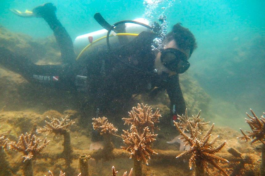 Tỉnh ủy Khánh Hòa yêu cầu báo cáo vụ san hô chết tại Hòn Mun-2