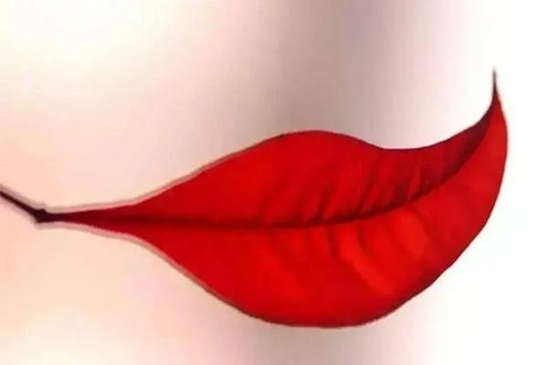 Trắc nghiệm: 3 chiếc giường, bạn muốn ngủ giường nào nhất?-4