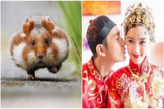 3 con giáp nổi tiếng yêu vợ thương con, lấy được hạnh phúc một đời