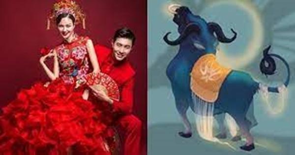 May mắn kết hôn với 5 tuổi: Cuộc đời sang trang, vợ chồng hòa thuận-1