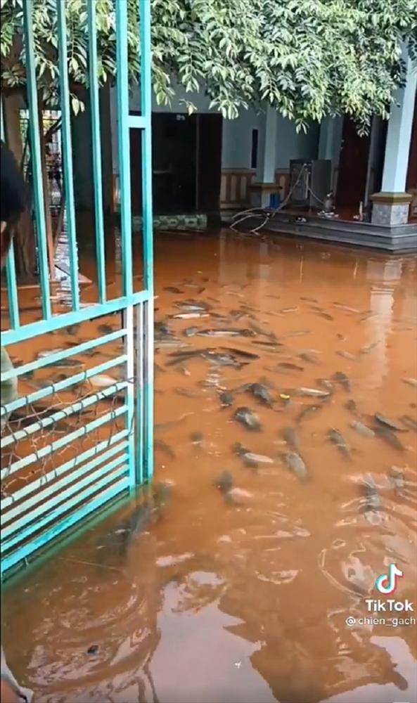 Khoảnh khắc lạc quan hài hước trong những ngày mưa ngập lối về-1