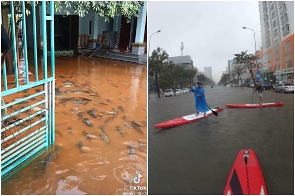 Muôn kiểu ôn bài của sĩ tử 2k4-8