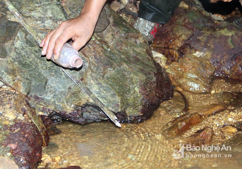 Những nghề cực lạ ở Việt Nam: Ngửi mít hộ, gấp quần áo thuê-2