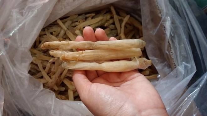 Món quà của biển ‘đắt như vàng’ ở Hải Phòng, ai muốn thử phải bỏ tiền triệu-5