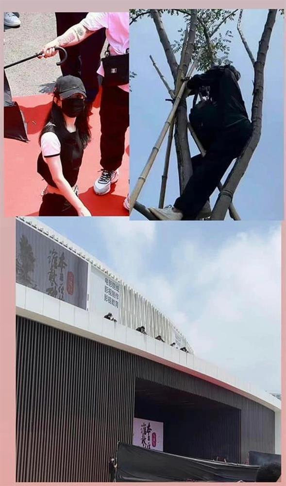 Dữ Phượng Hành khai máy: Triệu Lệ Dĩnh 3 phần hốt hoảng, 7 phần ngơ ngác-7