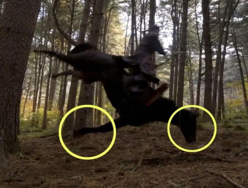 7 phim Hàn bị chê: Ngược đãi động vật, tắm trần trụi phản cảm-11