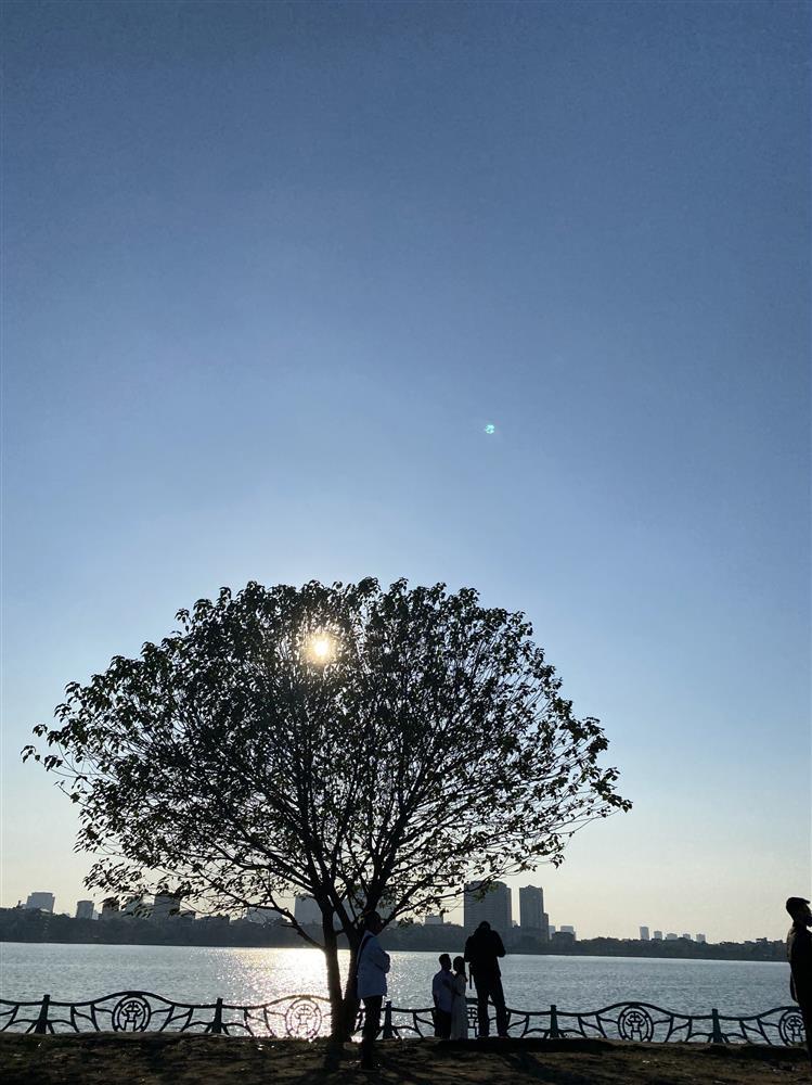 Cây cô đơn Hồ Tây bị chặt, dân mạng tiếc nuối muốn vạch mặt kẻ ác-7