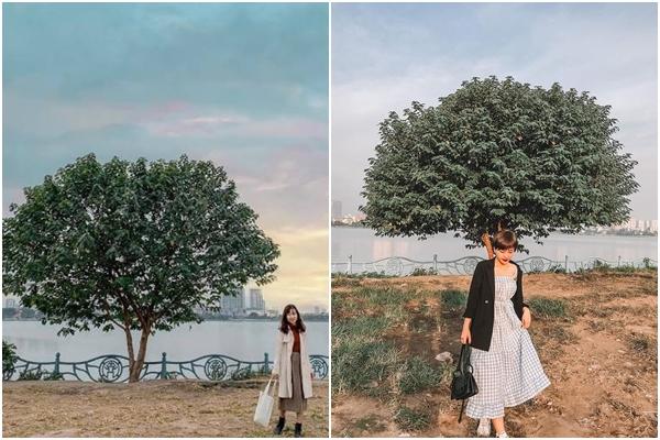 Nắng nóng đỉnh điểm, người dân Hà Nội đổ xô ra Hồ Tây tắm mát-11