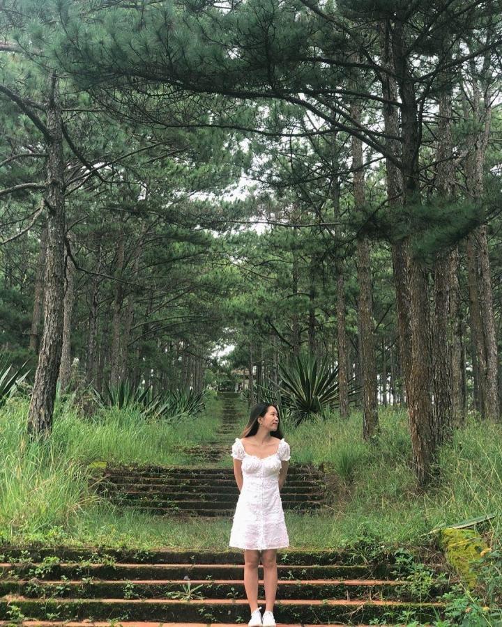 Lăng mộ hoàng thân triều Nguyễn giữa rừng thông Đà Lạt siêu đẹp-6