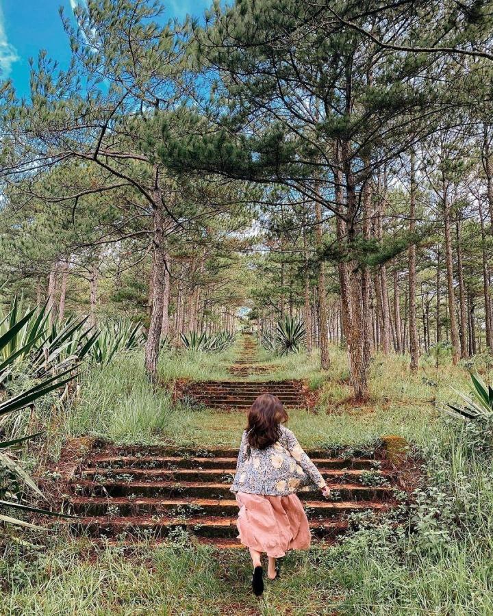 Lăng mộ hoàng thân triều Nguyễn giữa rừng thông Đà Lạt siêu đẹp-8