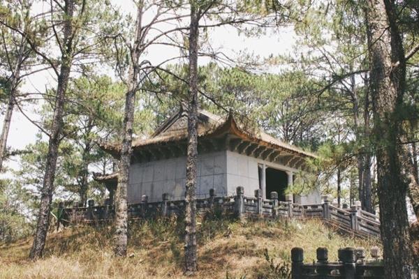 Đi cà phê ở Đà Lạt, đôi bạn dở khóc dở cười khi tin chị Google-9